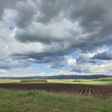 plowed field with rows of soil under a cloudy sky with patches of blue and a distant tree line and hills
