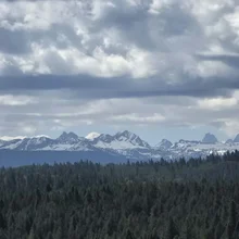 Snow-covered mountain range under a cloudy sky with a dense forest in the foreground