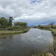 Wide river flowing through a natural landscape with bushes, trees, and a cloudy sky