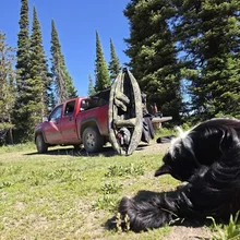 Black and white dog lying on grass in the foreground with a red pickup truck and camouflaged kayak on its side in front of tall pine trees under a clear blue sky
