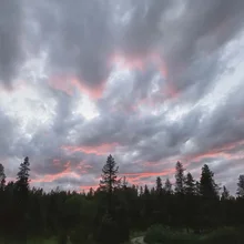 Dark forest silhouette beneath a cloudy sky with patches of pink and orange hues from the setting or rising sun