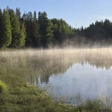Calm lake with early morning mist rising above the water and dense pine trees reflected on the surface