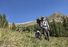 Elderly man hiking with a large backpack and walking stick accompanied by a black and white dog in a grassy mountainous area under a clear blue sky