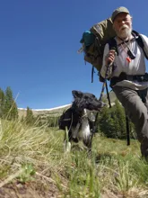 Man hiking with a large backpack and a black and white dog wearing a small pack on a grassy mountain trail under a clear blue sky