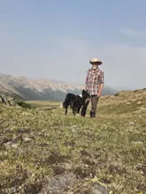 Man wearing a cowboy hat and plaid shirt standing on a grassy hillside with a black and white dog beside him, mountains in the background