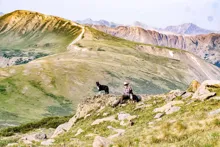 Person wearing a hat sitting on a rocky hill with two dogs overlooking a vast mountainous landscape
