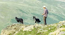 A man in a plaid shirt and hat hiking on rocky terrain with two black and white dogs