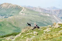 Person wearing a hat sitting on a rocky hill with two dogs, surrounded by green mountains in the background