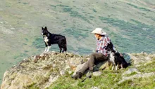 Man in a cowboy hat sitting on rocky terrain with two black and white dogs, overlooking a grassy hillside