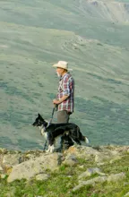 Older man wearing a plaid shirt and hat standing on rocky terrain holding a walking stick with a black and white dog beside him overlooking a mountainous landscape