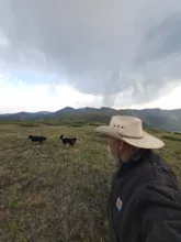 Man wearing a wide-brimmed hat and dark jacket looking at two small dogs running on a grassy hillside with mountains in the background under a cloudy sky