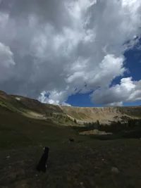 two black dogs in a grassy mountain valley under a dramatic cloudy sky