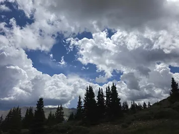 Tall evergreen trees against a backdrop of dramatic, fluffy clouds and blue sky over a hilly landscape