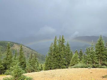 Green pine trees with a faint rainbow arching over a mountainous landscape under a cloudy sky