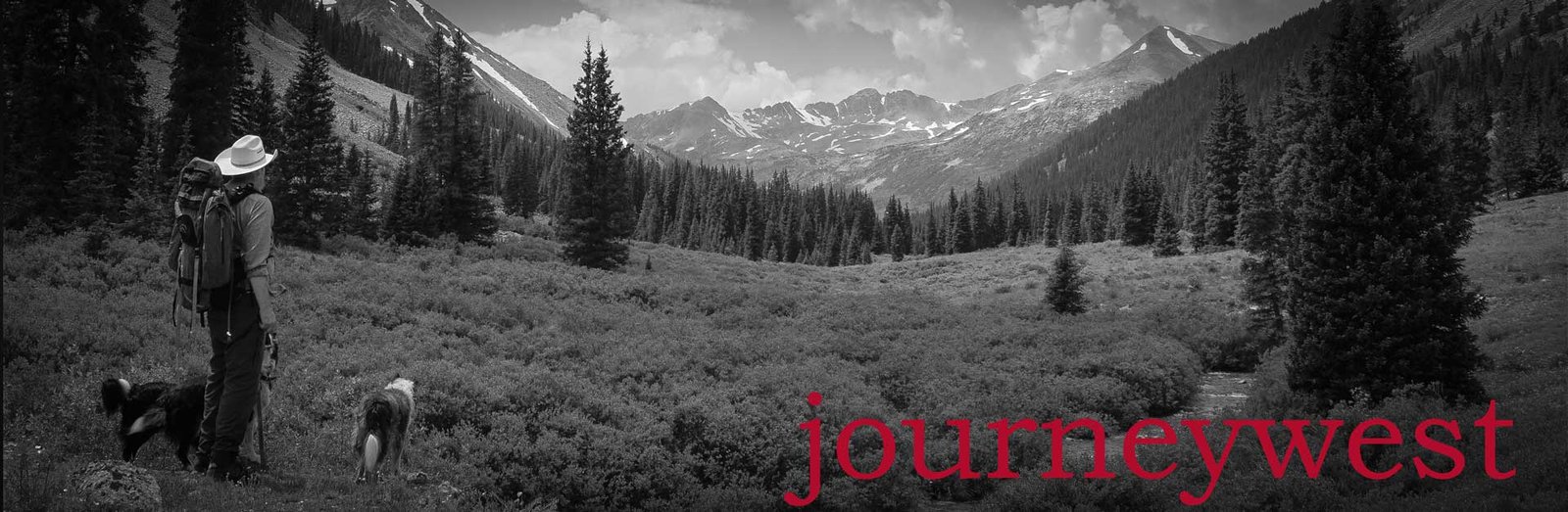 Person with a backpack and two dogs standing in a meadow surrounded by forest and distant snow-capped mountains